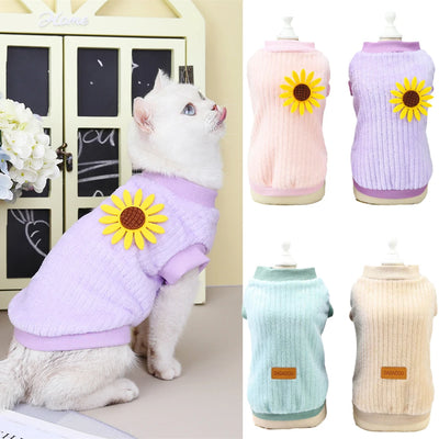 Autumn Winter Sphynx Cat Clothes Korean Pet Sweater for Cats Gotas Katten Kedi Pullovers Dog Hoodie mascotas Costume Clothing