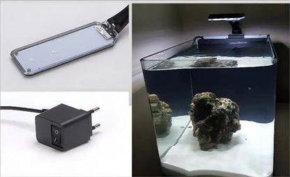 Table Curvedcurved Saltwater Marine Fish Tank Aquarium