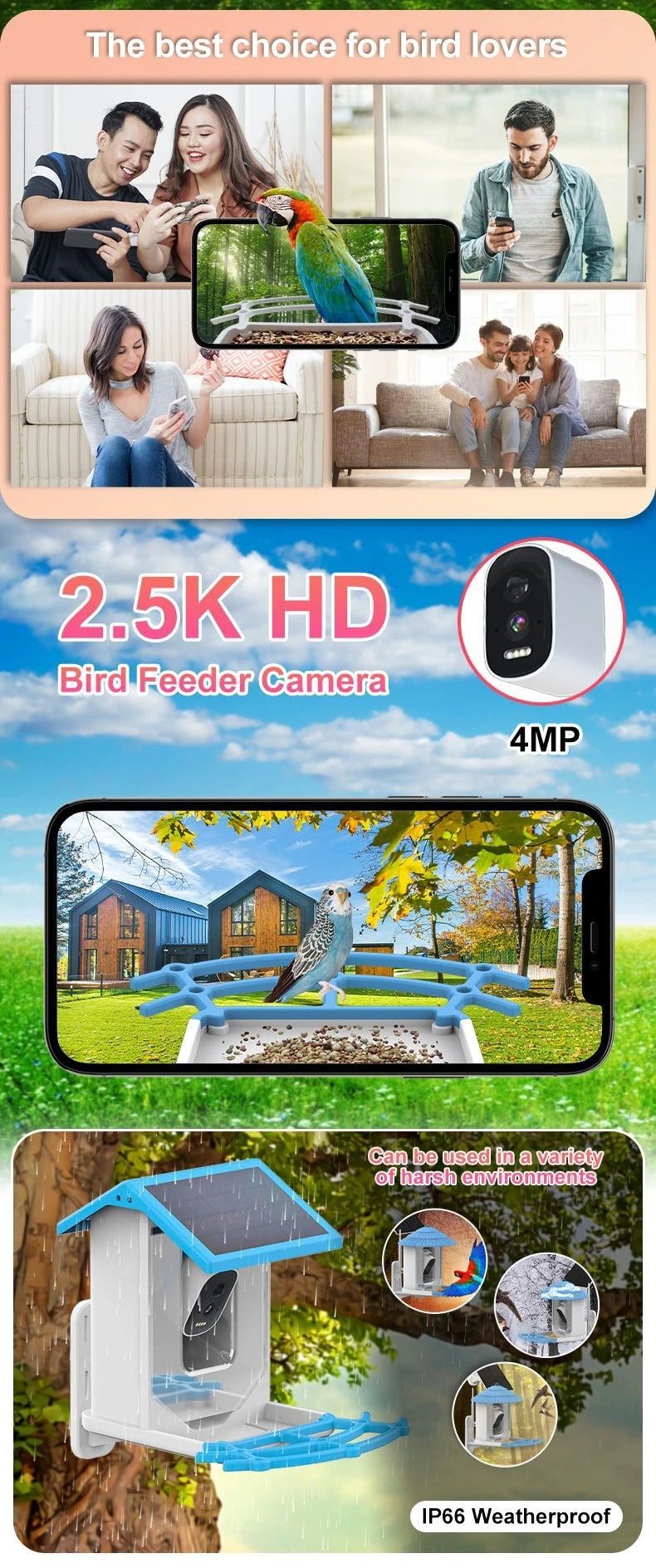 Bird Smart Feeder with Camera 1080P Solar Low Power Night Vision IP66 Waterproof 4G or WIFI Connect Real Bird Species Feeder