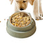 Cat Bowl Non-Slip Pet Stainless Steel Food Bowls Ergonomic Design Cat Dog Food Bowl with 15 Degree Oblique Mouth Puppy Feeding