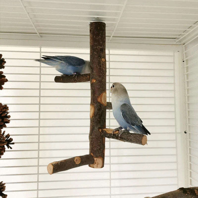 Natural Apple Tree Wood Bird Branch Stand Perches Pet Parakeet Budgie Hanging Play Toy Bird Cage Parrot Wooden Desk Holder