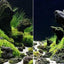 1pcs Natural Aquarium Decor Lava Stone Rockery Landscaping Fish Tank Microporous Volcanic Stone Porous Good for Plants Growth