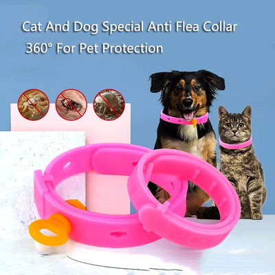 Summer Flea Cleaning Tool Adjustable Anti Flea Cat Collar Neck Strap Anti Mite Louse Cootie Pet Collar Cat Supplies