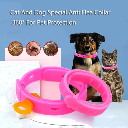 Summer Flea Cleaning Tool Adjustable Anti Flea Cat Collar Neck Strap Anti Mite Louse Cootie Pet Collar Cat Supplies