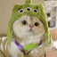 Personalized Animal Small Dog Hat Warm New Year Cosplay Accessories for Cats Snapper Bear French Bulldog Pet Supplies Head Gear