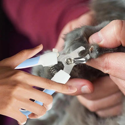 Dog Nail Clippers Nail Clippers And Trimmer For Puppy Portable Grooming Tool Professional And Safe Nail Trimmer For Cats Birds