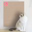 Wall Anti Cat Scratch Sofa DIY Cats Scratch Board Sofa Protection Paws Sharpen Trimmable Self-adhesive Carpet Cats Scratch Board