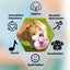 Active Moving Pet Plush Toy Plush Puppy Dog Toys That Move Auto Bounce Squeaky Pet Toy Dog Toys Soft Plush Pet Toy Cute Fun