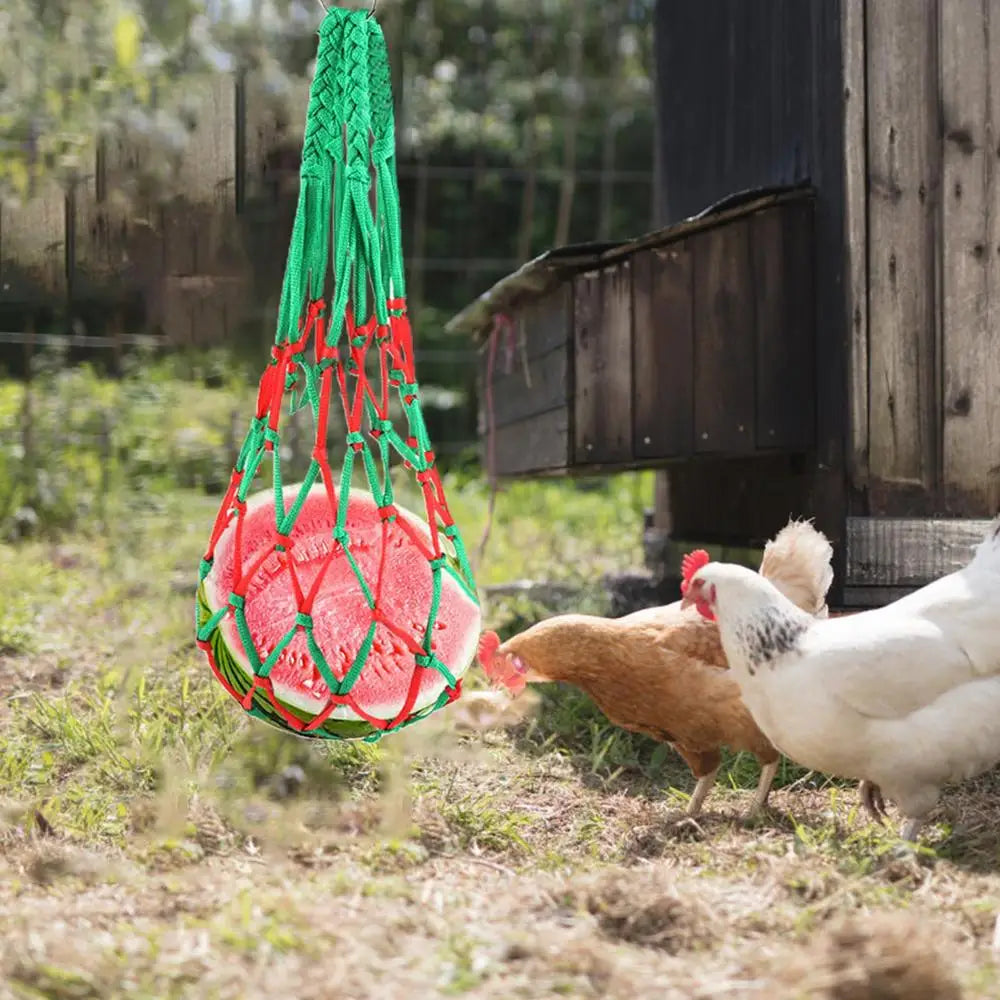 Chicken Vegetable Feeder Poultry Vegetable Feeder Hang Holder Chicken Feeder To Hang Chicken Treat Feeding Tool With Hook