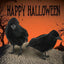Simulation Black Crow Raven Bird Repellent Pest Control Halloween Artificial Crow Raven Prop Horror Scary Garden Decorations