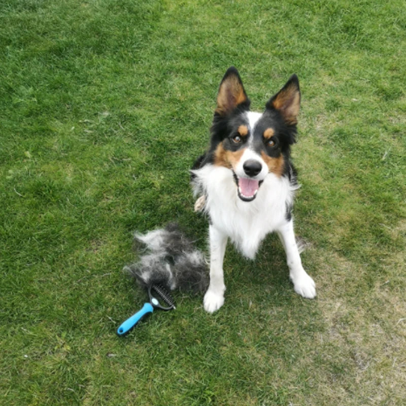 Animal Hair Brush Dog Grooming Brush Pet Hair Remover for Matted Long and Short Curly Haired Cats Pet Supplies Dog Accessories