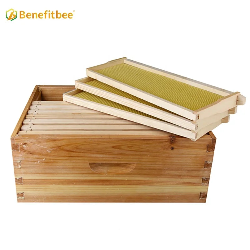 Benefitbee beekeeping 3 layers Langstroth beehive kit with 1 deep box and 2 super boxes bee hive complete