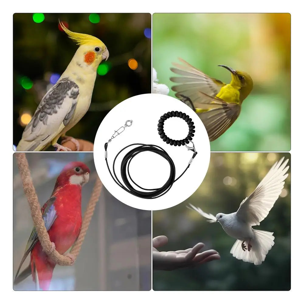 Detachable Bird Foot Chain Outdoor Parrot Pet Flying Rope Biting-Resistant Bird Training Toy With Ankle Foot Ring For Terrace