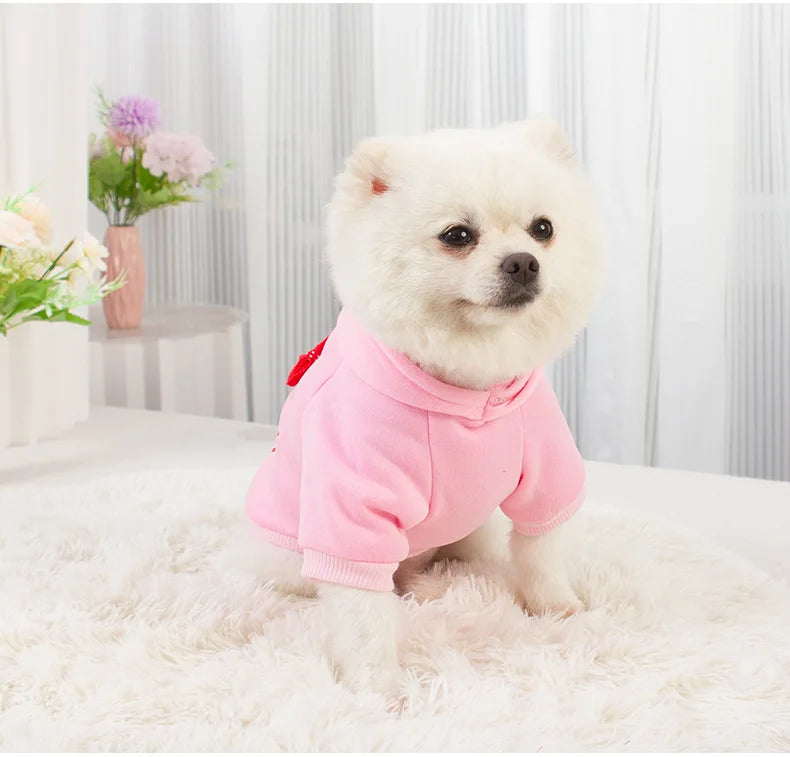 Fleece Lined Dog Hoodies Cute Girl Dog Sweatshirt Spring Winter Doggie Clothes Puppy Coat with Hat Pet Apparel for Small Dogs