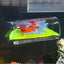 Betta Acrylic Tube Betta Fish Resting Tube Safe Enrichment Acrylic Tube Multifunctional Betta Tunnel Swim Tube Smooth