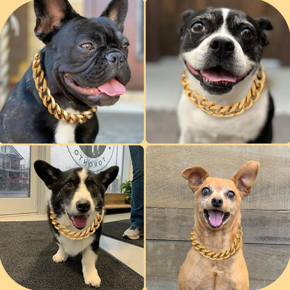 19MM Chew Proof Gold Dog Chain Collar Stainless Steel  Collars with Solid Buckle Pet Chains for Large Dogs