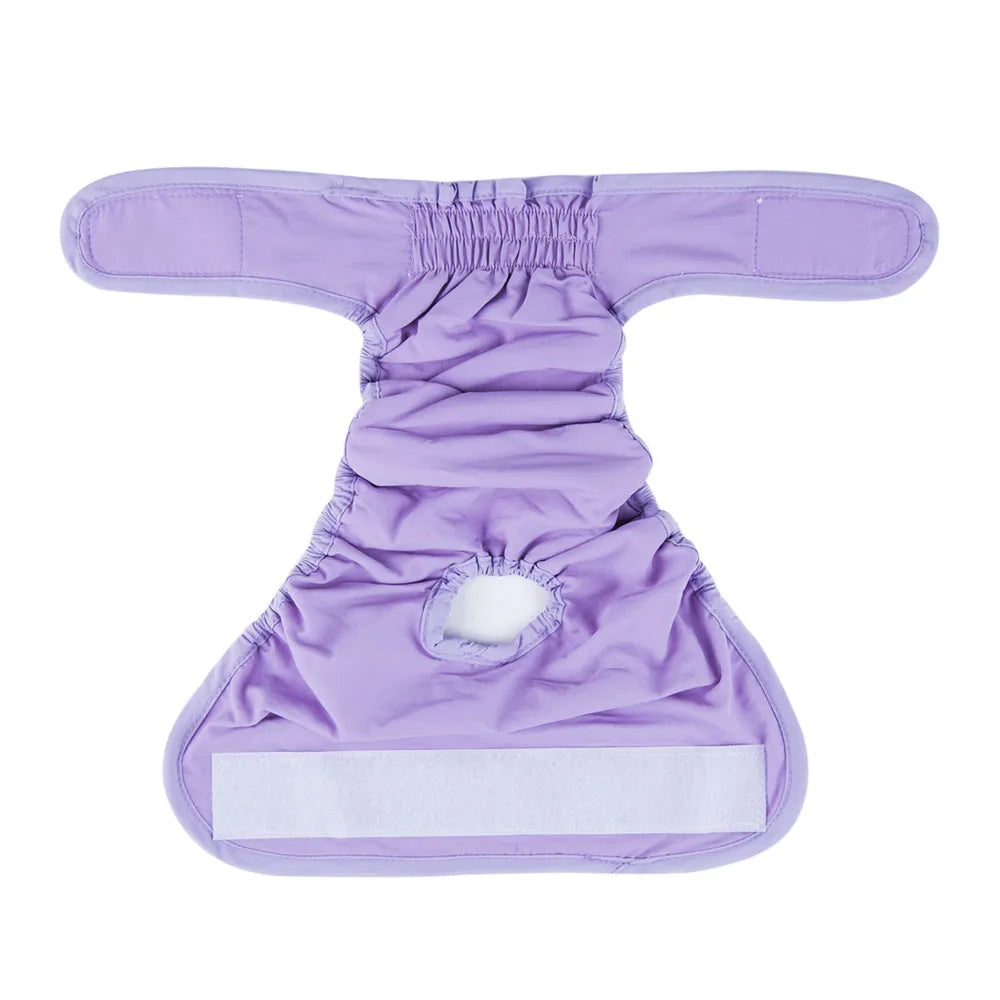 Female Dog Diapers Washable Pet Underwear for Girl Puppies Large Dogs Panties Sanitary Physiological Pants for Dogs Pet Supplies