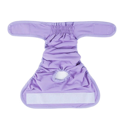 Female Dog Diapers Washable Pet Underwear for Girl Puppies Large Dogs Panties Sanitary Physiological Pants for Dogs Pet Supplies