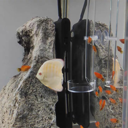 1Pcs Acrylic Aquarium Feeder Tube Dish Transparent Fish Tank Shrimp Snail Shrimp Food Feeder Bowl Aquarium Feeding Accessories