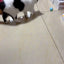 Cat Interactive Ball Smart Pet Cat Toys Indoor Automatic Rolling Magic Ball Electronic Interactive Cat Toy Cat Game Accessories