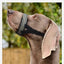 Quick Release Dog Muzzles Adjustable Reflective Dog Muzzle Soft Padded Medium & Large Dogs Halter Nose Leads for Outdoor Walking