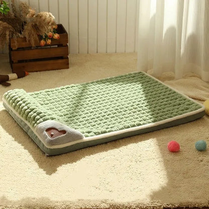 47498615947585|47498615980353|47498616013121|47498616045889