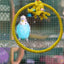 Rope Perches For Bird Cages Circle Rope Swing Easy Installation Natural Safe Soft Cotton Round Bird Swing For African Grey Macaw