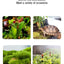 MIUS C Series Reptile Mister Fogger Terrariums Humidifier Rainforest High Pressure Silent Pump Fog Machine Sprayer System