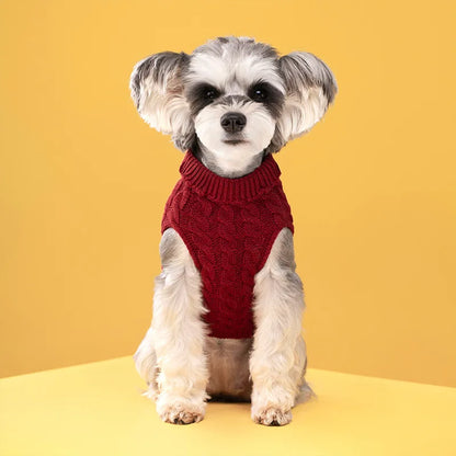 Warm Dog Clothes Knitted Clothes for Dogs Chihuahua Sweater for Small Dogs Winter Clothes for Sphinx Cat Dog Sweater for York