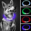 50cm LED Luminous Dog Collar Waterproof And Dustproof Visual Night Dog Walking To Prevent Lost Creative Color Dog Sub-sign Light