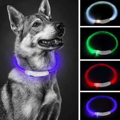 50cm LED Luminous Dog Collar Waterproof And Dustproof Visual Night Dog Walking To Prevent Lost Creative Color Dog Sub-sign Light