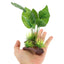 UXCELL Aquarium Plants Artificial Plastic Aquatic Plants Decorative Pet Fish Plants Plastic Ornaments for  Fish Aquatic Pet