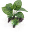 Beautiful Simulation Artificial  Aquarium Plastic Plants Decoration Aquatic Fish Tank Ornaments Water Grass Landscape Decor