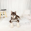 Dog Mat Fluffy Bed Cushion Accessory Supplies Pets Dogs Accessories Basket Baskets Big Small Pet Products Large Beds Sofa Cats