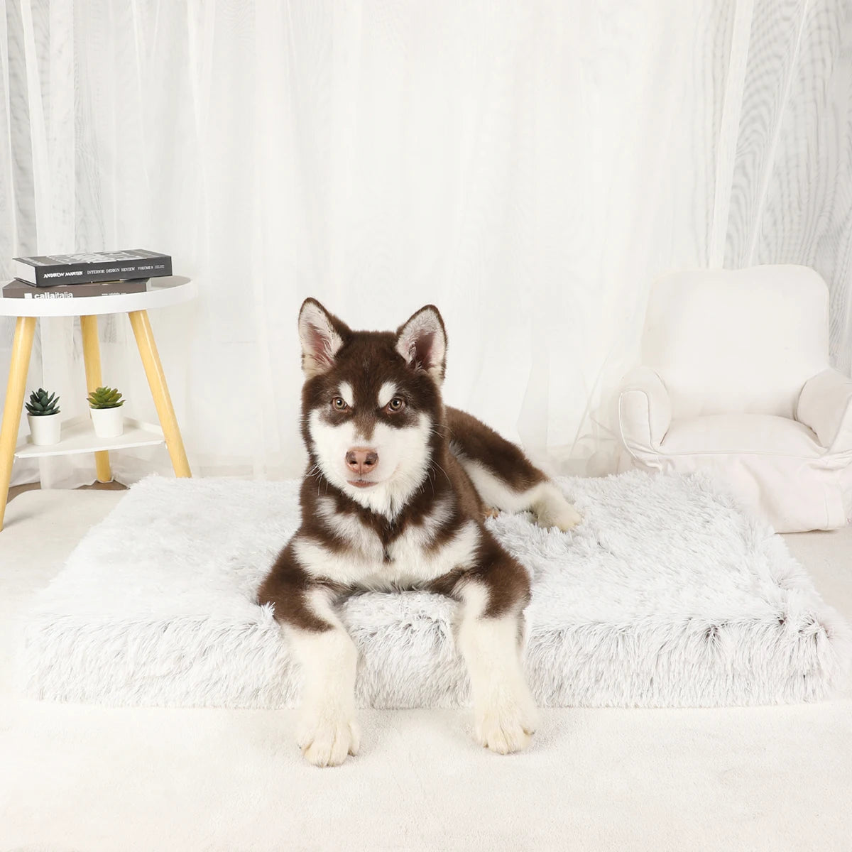 Dog Mat Fluffy Bed Cushion Accessory Supplies Pets Dogs Accessories Basket Baskets Big Small Pet Products Large Beds Sofa Cats