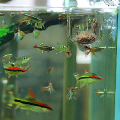 1Pc Glass Aquarium Feeder Hanging Fish Tank Mini Crystal Pot Polka Water Potted Planting Cylinder Cup Aquarium Decor Accessories