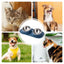 Dog Food Bowl Stainless Steel Double Cat Food Bowl Non Slip Double Cat Food And Water Feeding Bowls For Dogs Cats Puppies And