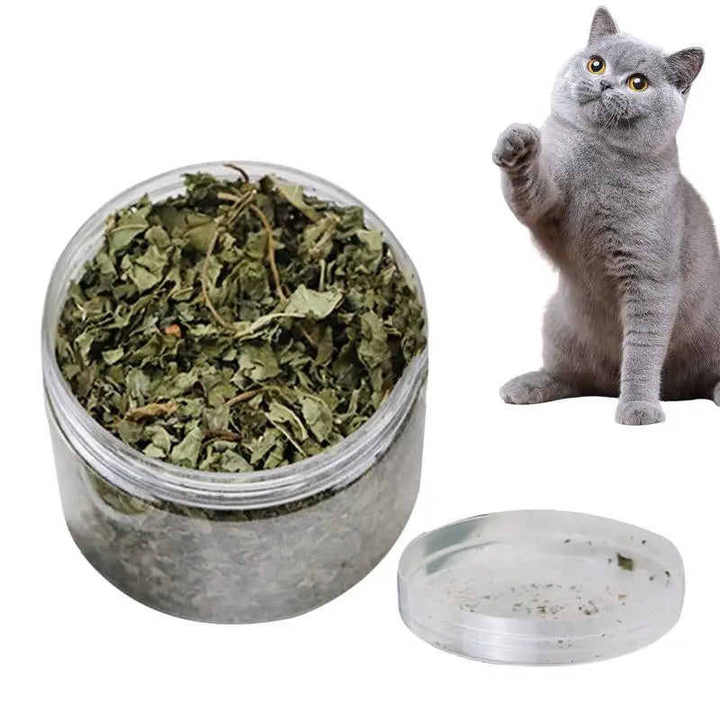 Catnip Organic 100 Natural Premium Cattle Grass Non-toxic Interactive Funny Cat Toy Healthy Safe Catnip Pet Toys Nepeta Cataria