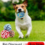 Automatic Pet Feeder Dog Cat Water Bottle Head Feeder for Dogs Cats Water Drinking fountain Mouth Water Dispenser Pet Supplies