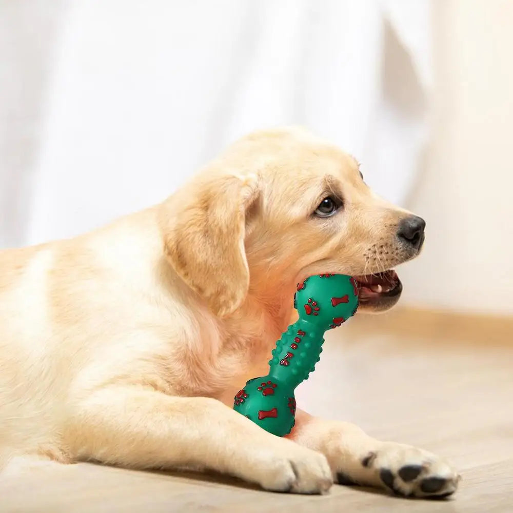 Chew Toys for Dogs Squeaky Dog Toys Pet Chewing Toys for Teething Interactive Training Toys for Small Medium Large Dogs