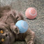 Cat Interactive Ball Intelligent Sensing Rolling Ball Toys Automatic Rolling Magic Ball Toy Rotating Ball Cat Game Accessories