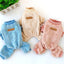 Luxury Fashion Thermal Fleece Dog Pajamas Onesie Winter Puppy Jumpsuit Poodle Chihuahua Yorkie Boy Dog Clothes for Small Dogs