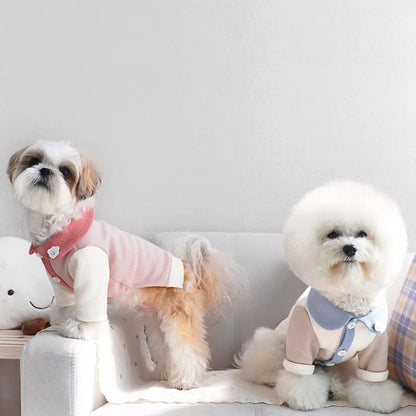 Fashion Thin Dog Hoodies Clothes for Dogs Solid Dog Coat Cotton Undershirts Kitten Puppy Sweatshirt Chihuahua Girls Dog Costume