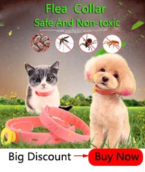 Nylon Personalized Dog Collar Pet Comfortable Durable Collar For Small Medium Large Dog Collars Leads Accessories Pet supplies