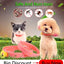 Thickened  Pet Dog Mat Breathable Bite Resistant Dog Cat Sleeping Pad Washable Reusable Training Pad Dog Car Seat Four Seasons