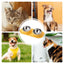 Dog Food Bowl Stainless Steel Double Cat Food Bowl Non Slip Double Cat Food And Water Feeding Bowls For Dogs Cats Puppies And