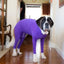 Four Feet Lightweight Pajamas Pure Dog Jumpsuits Tight Dog Coat Nursing Clothes Bodysuit For Small Medium Large Dogs Pet Costume