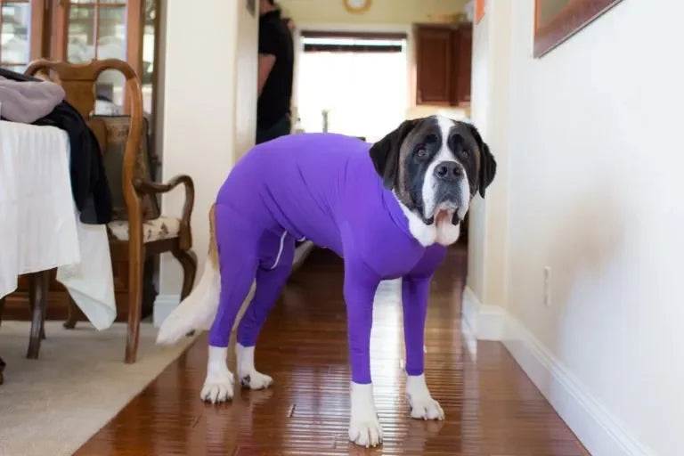 Four Feet Lightweight Pajamas Pure Dog Jumpsuits Tight Dog Coat Nursing Clothes Bodysuit For Small Medium Large Dogs Pet Costume