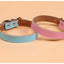 Adjustable Dog Collars Genuine Leather Pet Dog Collar Leash Lead For Small Medium Large Dogs Bulldog Pugs Beagle Dogs Supplies
