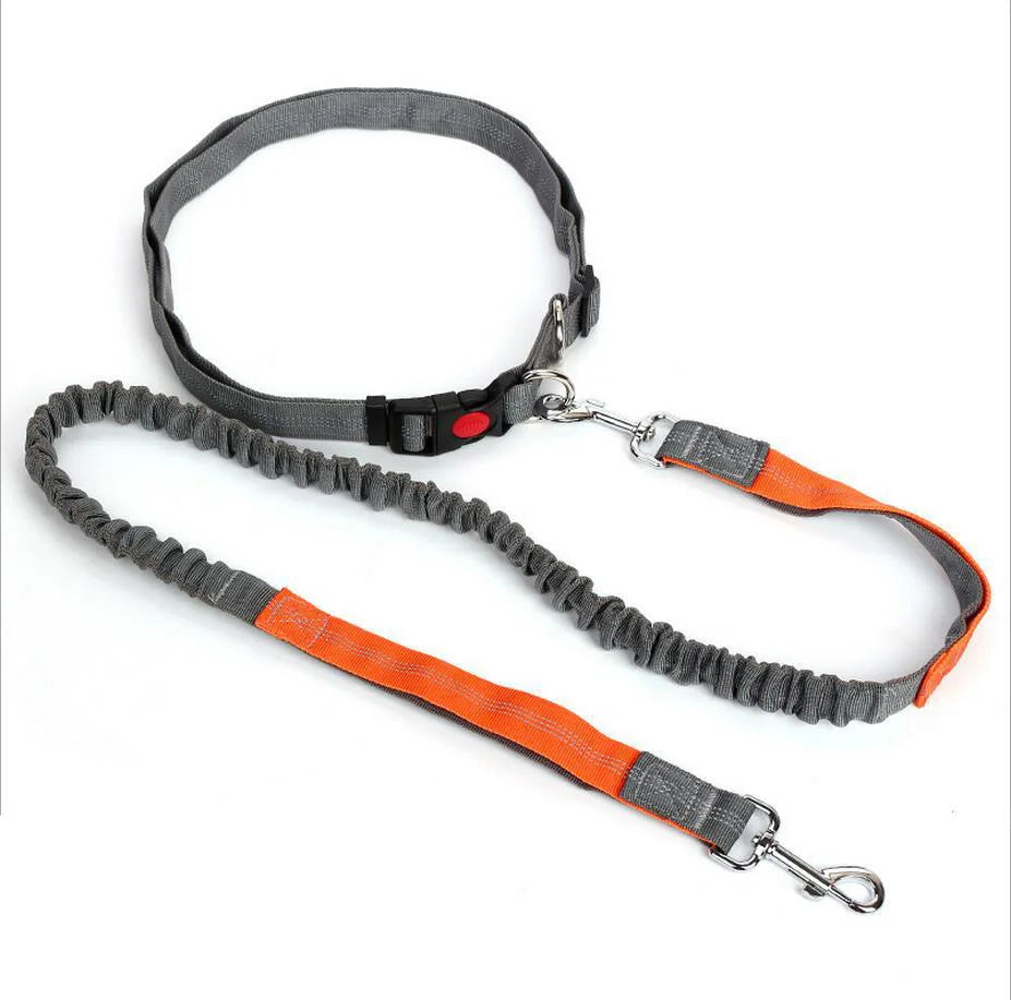 Dog Leash Supplies Free Hands Classic Harness Collar Big Pet Accessories Small Set Dogs Large Suit